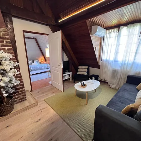 Appartement Spacieux Climatise Vue Mer Parking דירה טרוביל-סור-מאר